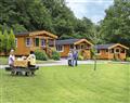 The family will have a great time at Kestrel Lodge VIP; Swansea